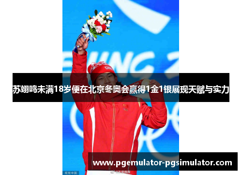 苏翊鸣未满18岁便在北京冬奥会赢得1金1银展现天赋与实力