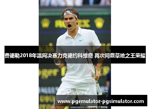 费德勒2018年温网决赛力克德约科维奇 再次问鼎草地之王荣耀 费德勒2018年温网决赛力克德约科维奇 再次问鼎草地之王荣耀