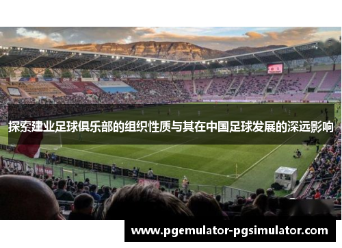 探索建业足球俱乐部的组织性质与其在中国足球发展的深远影响