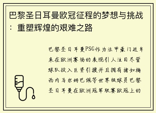 巴黎圣日耳曼欧冠征程的梦想与挑战：重塑辉煌的艰难之路