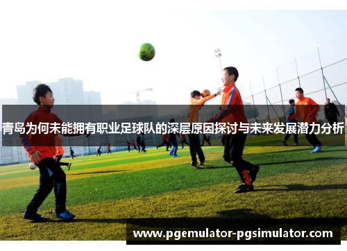 青岛为何未能拥有职业足球队的深层原因探讨与未来发展潜力分析 青岛为何未能拥有职业足球队的深层原因探讨与未来发展潜力分析