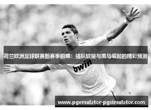 荷兰欧洲足球联赛新赛季前瞻：强队较量与黑马崛起的精彩预测