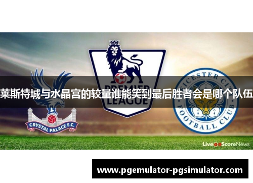 莱斯特城与水晶宫的较量谁能笑到最后胜者会是哪个队伍