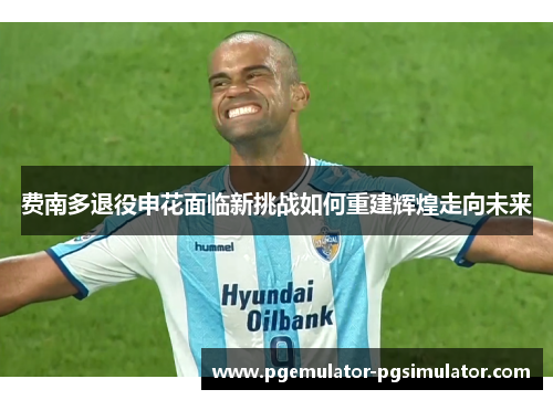 费南多退役申花面临新挑战如何重建辉煌走向未来