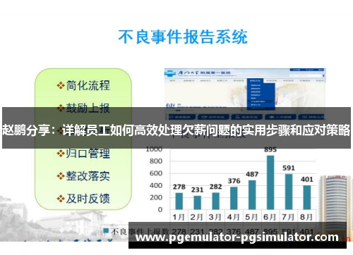 赵鹏分享：详解员工如何高效处理欠薪问题的实用步骤和应对策略