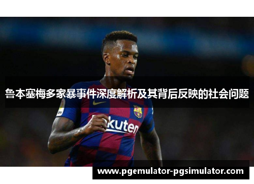 鲁本塞梅多家暴事件深度解析及其背后反映的社会问题