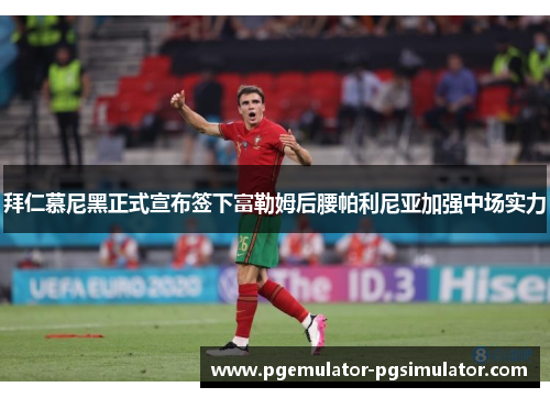 拜仁慕尼黑正式宣布签下富勒姆后腰帕利尼亚加强中场实力 拜仁慕尼黑正式宣布签下富勒姆后腰帕利尼亚加强中场实力