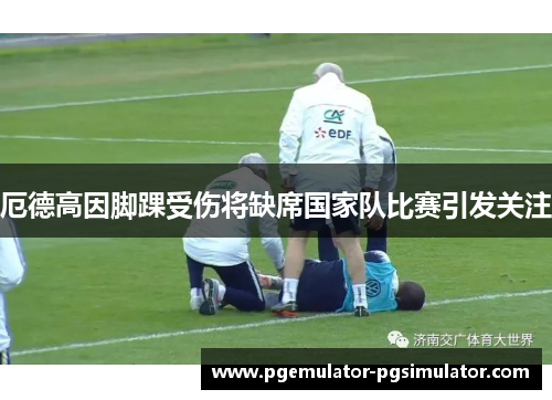 厄德高因脚踝受伤将缺席国家队比赛引发关注 厄德高因脚踝受伤将缺席国家队比赛引发关注